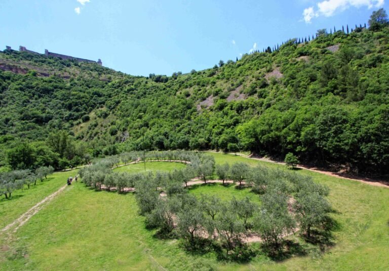 Bosco di San Francesco: l’altra metà di Assisi che in pochi conoscono